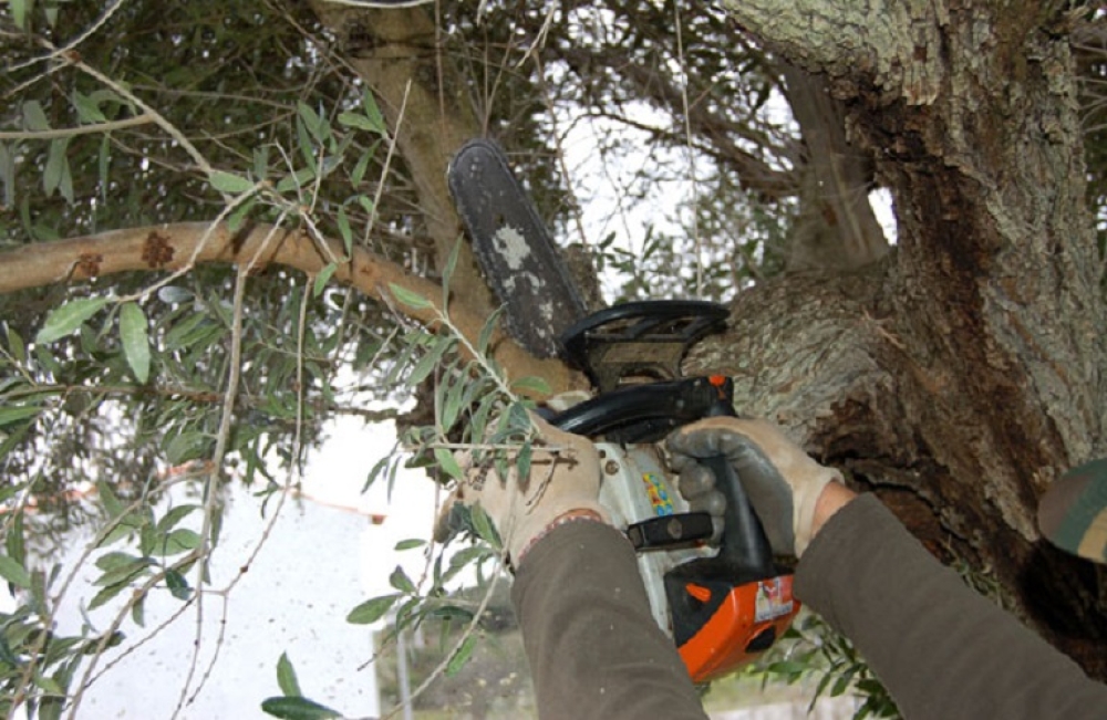 &Omicron;&delta;&eta;&gamma;ί&epsilon;&sigmaf; &gamma;&iota;&alpha; &sigma;&omega;&sigma;&tau;ή &pi;&epsilon;&rho;&iota;&pi;&omicron;ί&eta;&sigma;&eta;  &tau;&omega;&nu; &epsilon;&lambda;&alpha;&iota;ό&delta;&epsilon;&nu;&tau;&rho;&omega;&nu;