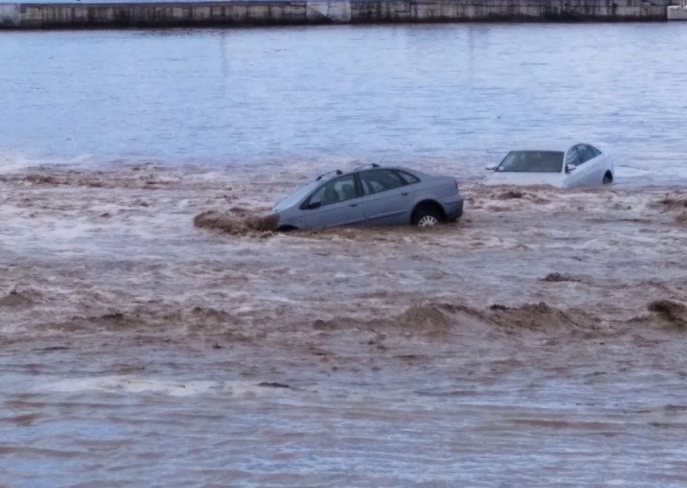 Δοκιμάστηκε από την κακοκαιρία η περιοχή των Βοιών (ΦΩΤΟ)