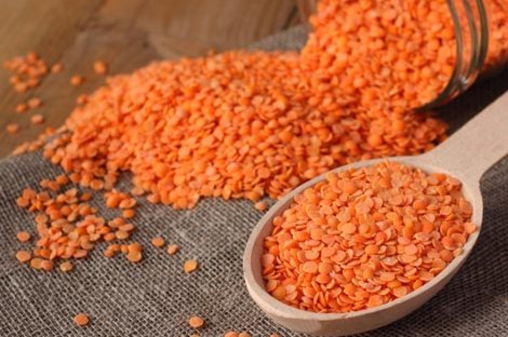 &Omicron;&iota; &laquo;&sigma;&iota;&delta;&epsilon;&rho;έ&nu;&iota;&epsilon;&sigmaf;&raquo; &phi;&alpha;&kappa;έ&sigmaf; &sigma;&tau;&omicron; &pi;&iota;ά&tau;&omicron; &mu;&alpha;&sigmaf;