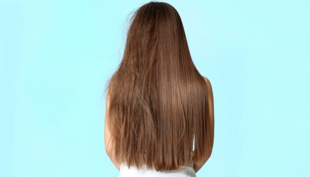 &Tau;&omicron; &pi;&iota;&nu;έ&lambda;&omicron; &tau;&omicron;&upsilon; &rho;&omicron;&upsilon;&zeta; &mu;&pi;&omicron;&rho;&epsilon;ί &nu;&alpha; &sigma;&epsilon; &sigma;ώ&sigma;&epsilon;&iota; &alpha;&pi;ό &tau;&omicron; &phi;&rho;&iota;&zeta;ά&rho;&iota;&sigma;&mu;&alpha;