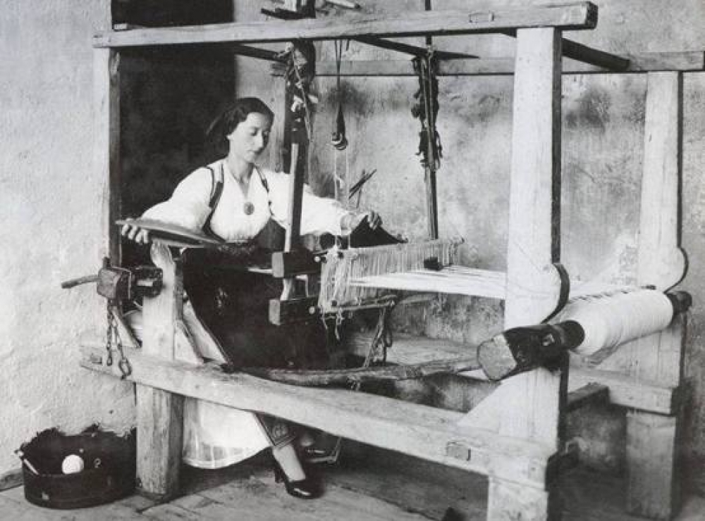 Η Μαρία κι ο Μώρος του λόγγου