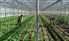 &Epsilon;&iota;&delta;&iota;&kappa;έ&sigmaf; &rho;&upsilon;&theta;&mu;ί&sigma;&epsilon;&iota;&sigmaf; &gamma;&iota;&alpha; &epsilon;&rho;&gamma;ά&tau;&epsilon;&sigmaf; &gamma;&eta;&sigmaf; &zeta;&eta;&tau;&omicron;ύ&nu; &omicron;&iota; &sigma;&upsilon;&nu;&epsilon;&tau;&alpha;&iota;&rho;&iota;&sigma;&mu;&omicron;ί