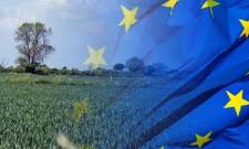 &laquo;&Lambda;ά&delta;&iota;&raquo; &sigma;&tau;&eta;&nu; &pi;&alpha;&rho;&alpha;&gamma;&omega;&gamma;&iota;&kappa;ή &mu;&eta;&chi;&alpha;&nu;ή ή &Kappa;&Alpha;&Pi;(έ&lambda;&omega;&mu;&alpha;) &tau;&eta;&sigmaf; &upsilon;&pi;&alpha;ί&theta;&rho;&omicron;&upsilon;;