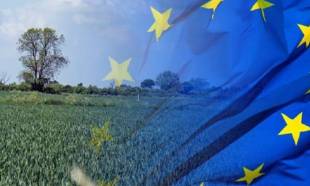 &laquo;&Lambda;ά&delta;&iota;&raquo; &sigma;&tau;&eta;&nu; &pi;&alpha;&rho;&alpha;&gamma;&omega;&gamma;&iota;&kappa;ή &mu;&eta;&chi;&alpha;&nu;ή ή &Kappa;&Alpha;&Pi;(έ&lambda;&omega;&mu;&alpha;) &tau;&eta;&sigmaf; &upsilon;&pi;&alpha;ί&theta;&rho;&omicron;&upsilon;;