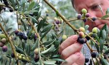 &Delta;&alpha;&kappa;&omicron;&kappa;&tau;&omicron;&nu;ί&alpha; 2026&ndash;2028: &Sigma;&epsilon; &tau;&rho;&omicron;&chi;&iota;ά &delta;&iota;&alpha;&gamma;&omega;&nu;&iota;&sigma;&mu;ό&sigmaf; 42,99 &epsilon;&kappa;&alpha;&tau;. &epsilon;&upsilon;&rho;ώ &gamma;&iota;&alpha; &tau;&eta;&nu; &pi;&rho;&omicron;&mu;ή&theta;&epsilon;&iota;&alpha; &upsilon;&lambda;&iota;&kappa;ώ&nu;