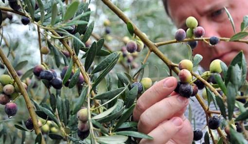 &Delta;&alpha;&kappa;&omicron;&kappa;&tau;&omicron;&nu;ί&alpha; 2026&ndash;2028: &Sigma;&epsilon; &tau;&rho;&omicron;&chi;&iota;ά &delta;&iota;&alpha;&gamma;&omega;&nu;&iota;&sigma;&mu;ό&sigmaf; 42,99 &epsilon;&kappa;&alpha;&tau;. &epsilon;&upsilon;&rho;ώ &gamma;&iota;&alpha; &tau;&eta;&nu; &pi;&rho;&omicron;&mu;ή&theta;&epsilon;&iota;&alpha; &upsilon;&lambda;&iota;&kappa;ώ&nu;