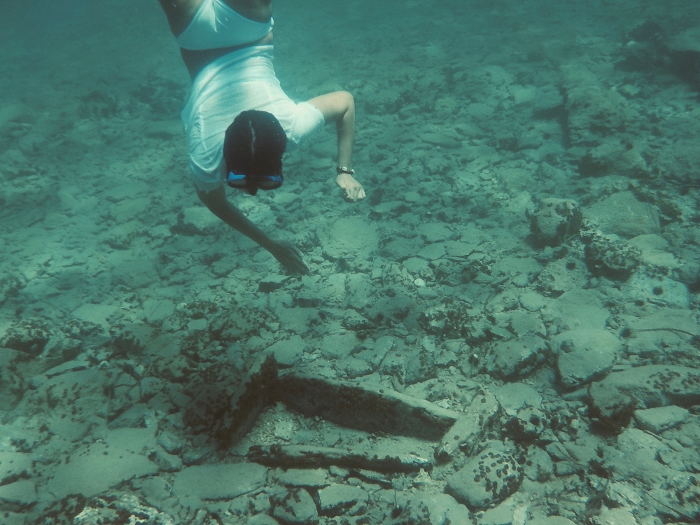 «Γεννήθηκε» το Κινηματογραφικό Φεστιβάλ Θαλάσσιας Οικολογίας σε Νεάπολη κι Ελαφόνησο (ΦΩΤΟ)