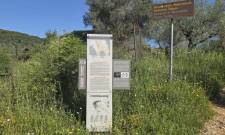 &Pi;&rho;&omicron;&beta;&omicron;&lambda;&epsilon;ί&sigmaf; (&kappa;&alpha;&iota; &kappa;&alpha;&lambda;ώ&sigmaf;) &sigma;&tau;&omicron;&nu; &alpha;&kappa;&rho;&iota;&beta;ό &mu;&alpha;&sigmaf; &Mu;&upsilon;&sigma;&tau;&rho;ά, &omicron;ύ&tau;&epsilon;... &alpha;&chi;&tau;ί&delta;&alpha; &gamma;&iota;&alpha; &tau;&eta;&nu; &laquo;&alpha;&kappa;&rho;&iota;&beta;ή&raquo; &sigma;&epsilon; &upsilon;&pi;&omicron;&sigma;&chi;έ&sigma;&epsilon;&iota;&sigmaf; &Pi;&epsilon;&lambda;&lambda;ά&nu;&alpha;