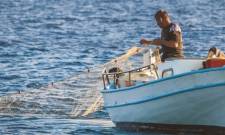 &laquo;&Alpha;&nu;ά&sigma;&alpha;&raquo; &gamma;&iota;&alpha; &tau;&omicron;&upsilon;&sigmaf; &epsilon;&pi;&alpha;&gamma;&gamma;&epsilon;&lambda;&mu;&alpha;&tau;ί&epsilon;&sigmaf; &alpha;&lambda;&iota;&epsilon;ί&sigmaf; &tau;&eta;&sigmaf; &Lambda;&alpha;&kappa;&omega;&nu;ί&alpha;&sigmaf;