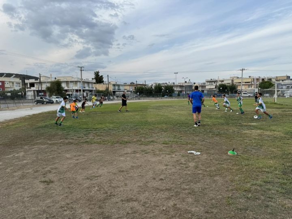 Ά&rho;&chi;&iota;&sigma;&alpha;&nu; &omicron;&iota; &epsilon;&gamma;&gamma;&rho;&alpha;&phi;έ&sigmaf; &sigma;&tau;&iota;&sigmaf; &alpha;&kappa;&alpha;&delta;&eta;&mu;ί&epsilon;&sigmaf; &tau;&omicron;&upsilon; Ά&rho;&eta; &Sigma;&kappa;ά&lambda;&alpha;&sigmaf;