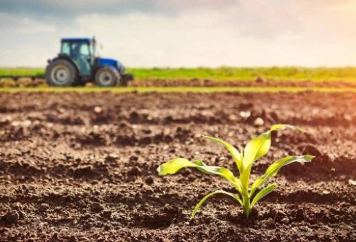 Μειωμένη η αγροτική παραγωγή στην Ελλάδα το 2023