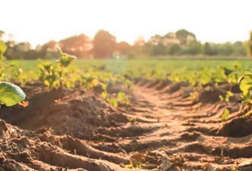 ΕΕ: Μέτρα για την επίτευξη υγιών εδαφών έως το 2050