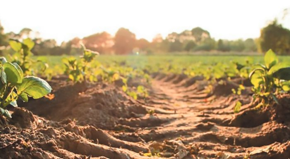 &Epsilon;&Epsilon;: &Mu;έ&tau;&rho;&alpha; &gamma;&iota;&alpha; &tau;&eta;&nu; &epsilon;&pi;ί&tau;&epsilon;&upsilon;&xi;&eta; &upsilon;&gamma;&iota;ώ&nu; &epsilon;&delta;&alpha;&phi;ώ&nu; έ&omega;&sigmaf; &tau;&omicron; 2050