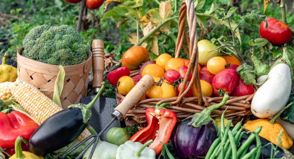 &Epsilon;&Epsilon;: &Nu;έ&alpha; &alpha;ύ&xi;&eta;&sigma;&eta; &gamma;&iota;&alpha; &tau;&omicron; &epsilon;&mu;&pi;ό&rho;&iota;&omicron;  &gamma;&epsilon;&omega;&rho;&gamma;&iota;&kappa;ώ&nu; &pi;&rho;&omicron;ϊό&nu;&tau;&omega;&nu; &delta;&iota;&alpha;&tau;&rho;&omicron;&phi;ή&sigmaf;