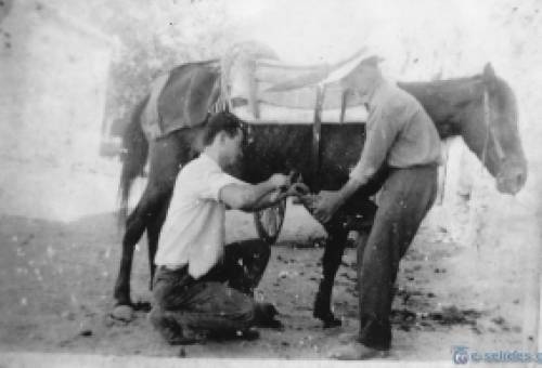 Στο καρφί και στο πέταλο