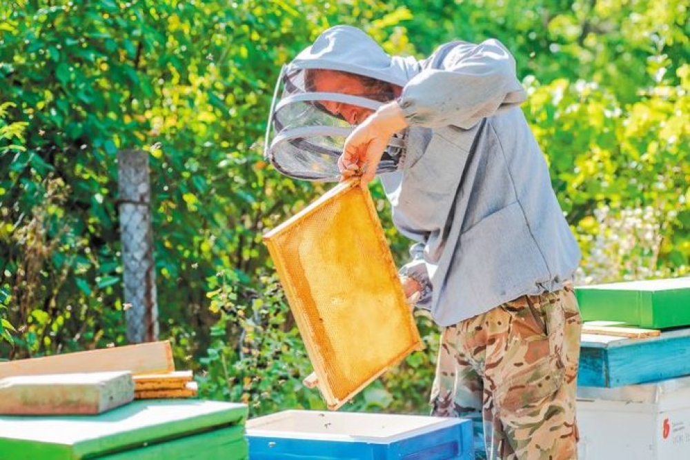 &Mu;&epsilon;&lambda;&iota;&sigma;&sigma;&omicron;&kappa;&omicron;&mu;ί&alpha;: &Pi;&rho;&omicron;&delta;&eta;&mu;&omicron;&sigma;ί&epsilon;&upsilon;&sigma;&eta; &tau;&eta;&sigmaf; &Delta;&rho;ά&sigma;&eta;&sigmaf; &laquo;&Epsilon;&xi;&omicron;&pi;&lambda;&iota;&sigma;&mu;ό&sigmaf; &gamma;&iota;&alpha; &tau;&eta; &delta;&iota;&epsilon;&upsilon;&kappa;ό&lambda;&upsilon;&nu;&sigma;&eta; &tau;&omega;&nu; &mu;&epsilon;&tau;&alpha;&kappa;&iota;&nu;ή&sigma;&epsilon;&omega;&nu;&raquo;