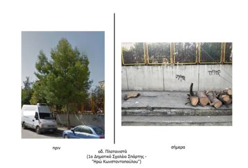 Το πεύκο απέθανε, ζήτω το... καλώδιο