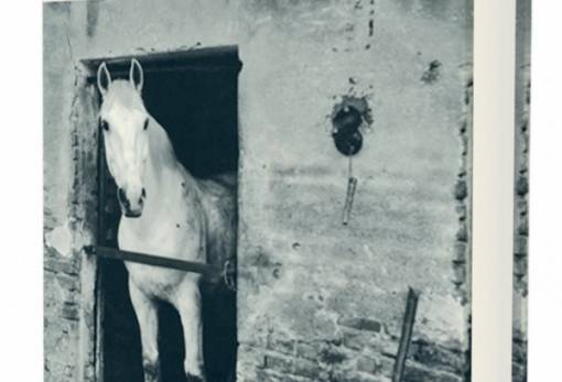 Το Βιβλίο της εβδομάδας