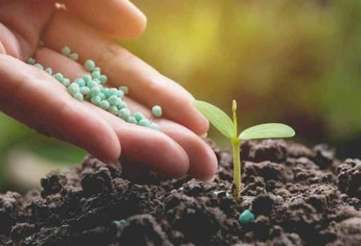 «Πρωταθλήτρια» η Ελλάδα στις αυξήσεις τιμών των λιπασμάτων