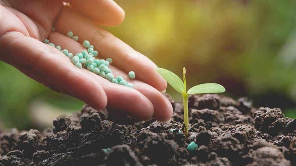 &laquo;&Pi;&rho;&omega;&tau;&alpha;&theta;&lambda;ή&tau;&rho;&iota;&alpha;&raquo; &eta; &Epsilon;&lambda;&lambda;ά&delta;&alpha; &sigma;&tau;&iota;&sigmaf; &alpha;&upsilon;&xi;ή&sigma;&epsilon;&iota;&sigmaf; &tau;&iota;&mu;ώ&nu; &tau;&omega;&nu; &lambda;&iota;&pi;&alpha;&sigma;&mu;ά&tau;&omega;&nu;