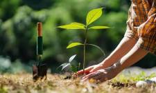 &Delta;&epsilon;&nu;&delta;&rho;&omicron;&phi;ύ&tau;&epsilon;&upsilon;&sigma;&eta; &mu;&epsilon; &tau;&omicron; &laquo;Ό&lambda;&omicron;&iota; &Mu;&alpha;&zeta;ί &Mu;&pi;&omicron;&rho;&omicron;ύ&mu;&epsilon;&raquo; &gamma;&iota;&alpha; &mu;&iota;&alpha; &pi;&iota;&omicron; &pi;&rho;ά&sigma;&iota;&nu;&eta; &Sigma;&pi;ά&rho;&tau;&eta;