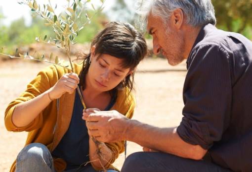 Πρεμιέρα με την «Ελιά» για τη Γιορτή Ελιάς και Λαδιού