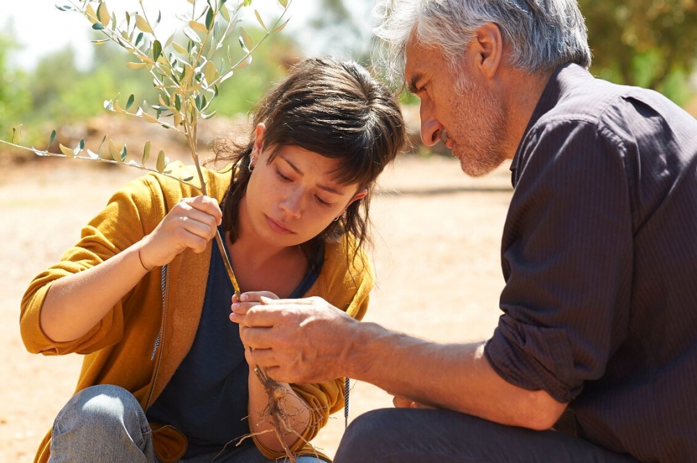 Πρεμιέρα με την «Ελιά» για τη Γιορτή Ελιάς και Λαδιού