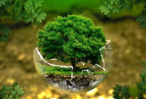 Οικολογικός Σύνδεσμος Λακωνίας: «Το οικολογικό κίνημα να ξαναμελετήσει τις σχέσεις ανθρώπου με το περιβάλλον»