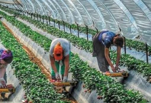 Διευκρινίσεις για αυτοαπασχολούμενους αγρότες με παράλληλο εργόσημο