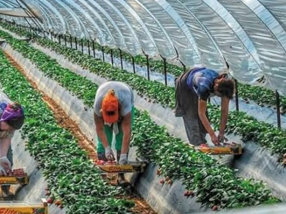 &Delta;&iota;&epsilon;&upsilon;&kappa;&rho;&iota;&nu;ί&sigma;&epsilon;&iota;&sigmaf; &gamma;&iota;&alpha; &alpha;&upsilon;&tau;&omicron;&alpha;&pi;&alpha;&sigma;&chi;&omicron;&lambda;&omicron;ύ&mu;&epsilon;&nu;&omicron;&upsilon;&sigmaf; &alpha;&gamma;&rho;ό&tau;&epsilon;&sigmaf; &mu;&epsilon; &pi;&alpha;&rho;ά&lambda;&lambda;&eta;&lambda;&omicron; &epsilon;&rho;&gamma;ό&sigma;&eta;&mu;&omicron;