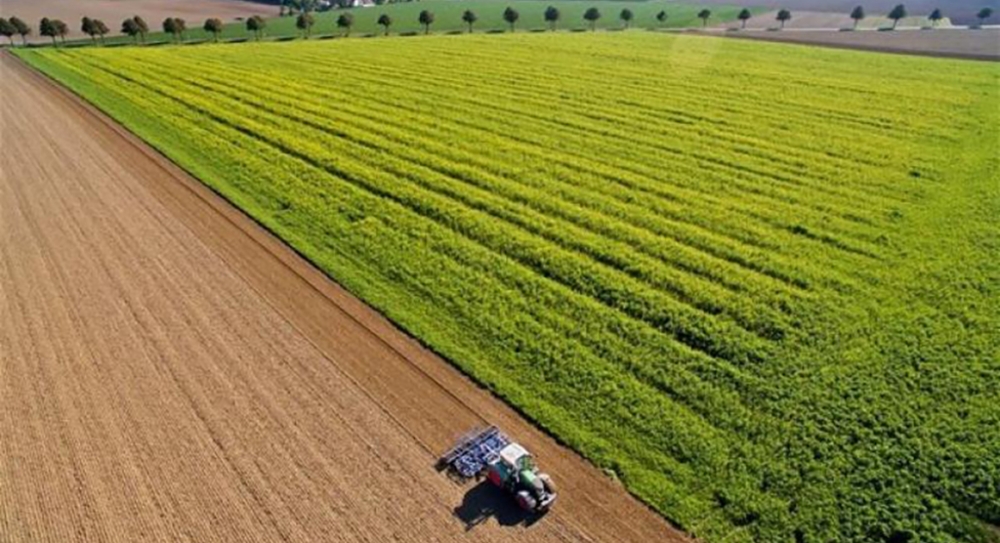 &Omicron;&iota; &pi;&rho;&omicron;&omicron;&pi;&tau;&iota;&kappa;έ&sigmaf; &tau;&eta;&sigmaf; &epsilon;&upsilon;&rho;&omega;&pi;&alpha;ϊ&kappa;ή&sigmaf; &gamma;&epsilon;&omega;&rho;&gamma;ί&alpha;&sigmaf; έ&omega;&sigmaf; &tau;&omicron; 2035