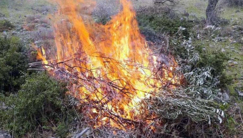 &Eta; &phi;&omega;&tau;&iota;ά&hellip; &kappa;ό&sigma;&tau;&iota;&sigma;&epsilon; 1.500&euro;  &sigma;&tau;&omicron;&nu; &lambda;&omicron;&gamma;&alpha;&rho;&iota;&alpha;&sigma;&mu;ό ά&nu;&delta;&rho;&alpha; &sigma;&tau;&omicron;&nu; &Delta;. &Sigma;&pi;ά&rho;&tau;&eta;&sigmaf;