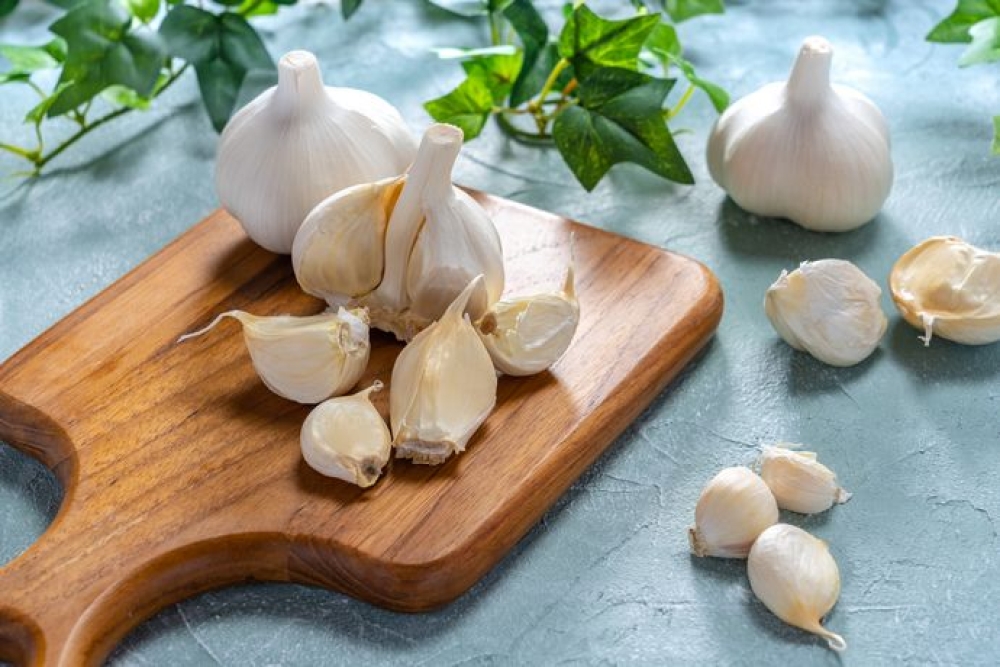 &Pi;ώ&sigmaf; &mu;&pi;&omicron;&rho;&epsilon;ί&sigmaf; &nu;&alpha; &pi;&rho;&omicron;&sigma;&tau;&alpha;&tau;έ&psi;&epsilon;&iota;&sigmaf; &tau;&alpha; &phi;&upsilon;&tau;ά &sigma;&omicron;&upsilon; &mu;&epsilon; έ&nu;&alpha; &sigma;&kappa;ό&rho;&delta;&omicron;