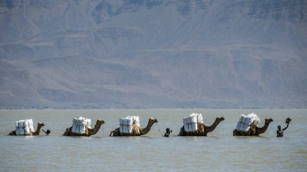 Έ&nu;&alpha;&sigmaf; &nu;έ&omicron;&sigmaf; &omega;&kappa;&epsilon;&alpha;&nu;ό&sigmaf; &laquo;&gamma;&epsilon;&nu;&nu;ά&tau;&alpha;&iota;&raquo; &sigma;&tau;&eta;&nu; &Alpha;&iota;&theta;&iota;&omicron;&pi;ί&alpha;