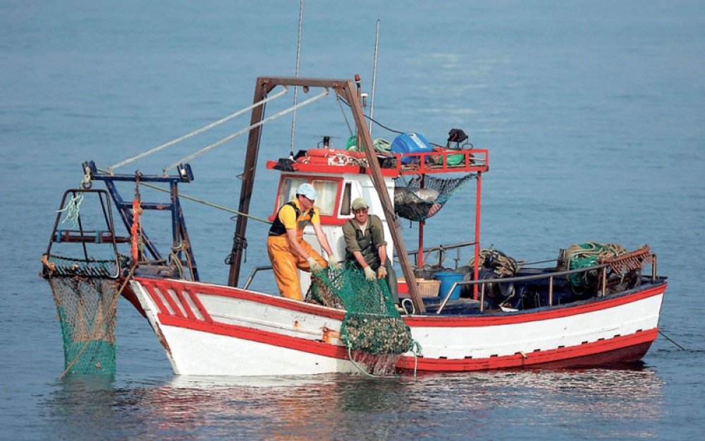 &Alpha;&lambda;&iota;&epsilon;&upsilon;&tau;&iota;&kappa;ά &sigma;&kappa;ά&phi;&eta;: &Alpha;&iota;&tau;ή&sigma;&epsilon;&iota;&sigmaf; &gamma;&iota;&alpha; &tau;&eta;&nu; &alpha;ύ&xi;&eta;&sigma;&eta; &iota;&pi;&pi;&omicron;&delta;ύ&nu;&alpha;&mu;&eta;&sigmaf; &kappa;&alpha;&iota; &chi;&omega;&rho;&eta;&tau;&iota;&kappa;ό&tau;&eta;&tau;&alpha;&sigmaf;