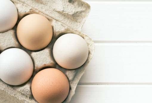 Βραδύτερη αύξηση στις τιμές των αβγών