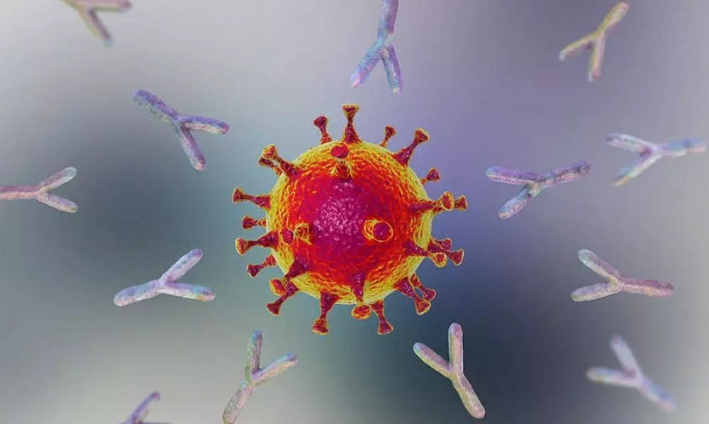 &Pi;ό&sigma;&omicron; &alpha;&pi;&omicron;&tau;&epsilon;&lambda;&epsilon;&sigma;&mu;&alpha;&tau;&iota;&kappa;ά &epsilon;ί&nu;&alpha;&iota; &tau;&alpha; &mu;&omicron;&nu;&omicron;&kappa;&lambda;&omega;&nu;&iota;&kappa;ά &alpha;&nu;&tau;&iota;&sigma;ώ&mu;&alpha;&tau;&alpha; έ&nu;&alpha;&nu;&tau;&iota; &tau;&eta;&sigmaf; Ό&mu;&iota;&kappa;&rho;&omicron;&nu;; &Tau;&iota; &delta;&epsilon;ί&chi;&nu;&omicron;&upsilon;&nu; &mu;&epsilon;&lambda;έ&tau;&epsilon;&sigmaf;