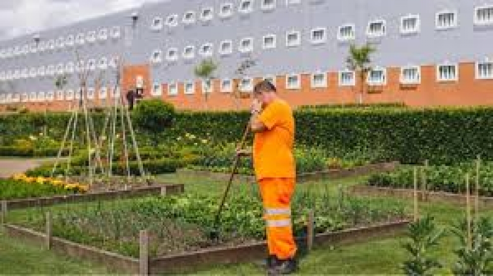 Ό&sigma;&alpha; &pi;&epsilon;&rho;&iota;&sigma;&sigma;ό&tau;&epsilon;&rho;&alpha; &phi;&upsilon;&tau;ά έ&chi;&epsilon;&iota; &mu;ί&alpha; &phi;&upsilon;&lambda;&alpha;&kappa;ή, &tau;ό&sigma;&omicron; &chi;&alpha;&mu;&eta;&lambda;ό&tau;&epsilon;&rho;&alpha; &tau;&alpha; &epsilon;&pi;ί&pi;&epsilon;&delta;&alpha; &beta;ί&alpha;&sigmaf;