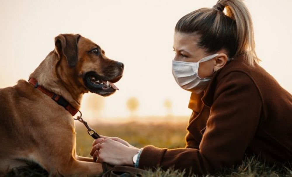 &Epsilon;&phi;&alpha;&rho;&mu;&omicron;&gamma;ή &epsilon;&nu;&tau;&omicron;&pi;ί&zeta;&epsilon;&iota; &chi;&alpha;&mu;έ&nu;&alpha; &kappa;&alpha;&tau;&omicron;&iota;&kappa;ί&delta;&iota;&alpha; &mu;έ&sigma;&omega; &tau;&epsilon;&chi;&nu;&eta;&tau;ή&sigmaf; &nu;&omicron;&eta;&mu;&omicron;&sigma;ύ&nu;&eta;&sigmaf;