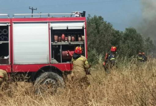 Υψηλός ως πολύ υψηλός ο κίνδυνος φωτιάς στη Λακωνία