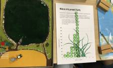 &laquo;&Kappa;&iota;&nu;ή&sigma;&omicron;&upsilon; &Pi;&rho;ά&sigma;&iota;&nu;&alpha;!&raquo;: &Sigma;&pi;&alpha;&rho;&tau;&iota;&alpha;&tau;ό&pi;&omicron;&upsilon;&lambda;&alpha; &mu;&alpha;&theta;&alpha;ί&nu;&omicron;&upsilon;&nu; &tau;&eta;&nu; &alpha;&epsilon;&iota;&phi;&omicron;&rho;ί&alpha; &mu;έ&sigma;&alpha; &alpha;&pi;ό &beta;&iota;&omega;&mu;&alpha;&tau;&iota;&kappa;ά &epsilon;&rho;&gamma;&alpha;&sigma;&tau;ή&rho;&iota;&alpha;