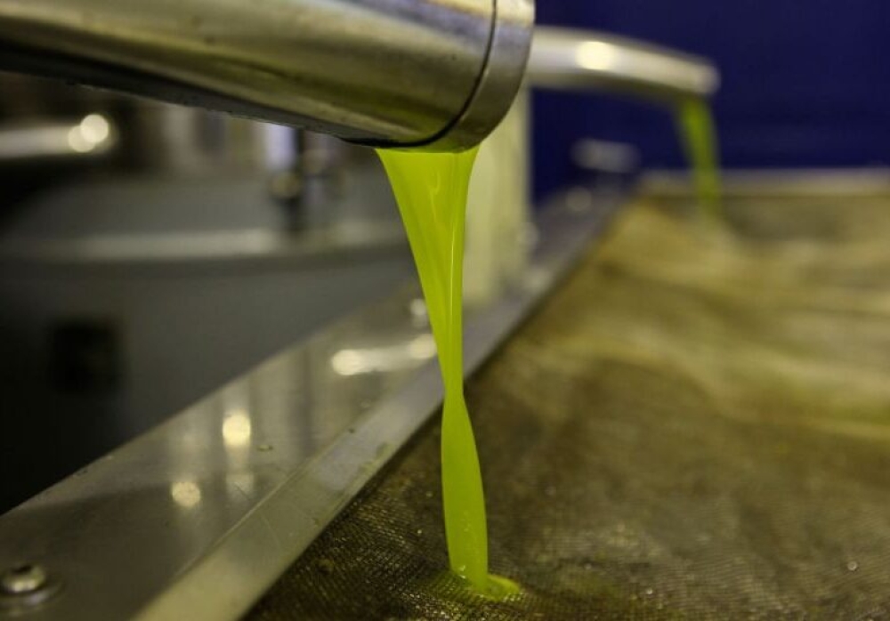 &Sigma;&tau;&alpha; 5,8 &epsilon;&upsilon;&rho;ώ &eta; &tau;&epsilon;&lambda;&epsilon;&upsilon;&tau;&alpha;ί&alpha; &pi;ώ&lambda;&eta;&sigma;&eta; &epsilon;&lambda;&alpha;&iota;&omicron;&lambda;ά&delta;&omicron;&upsilon; &sigma;&tau;&eta; &nu;ό&tau;&iota;&alpha; &Lambda;&alpha;&kappa;&omega;&nu;ί&alpha;