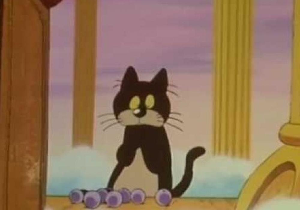 Η γάτα με την κομμένη ουρά