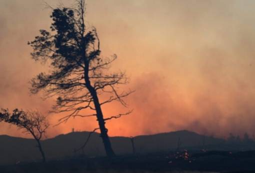 Σε συναγερμό η Λακωνία: Πολύ υψηλός κίνδυνος πυρκαγιάς και την Τρίτη