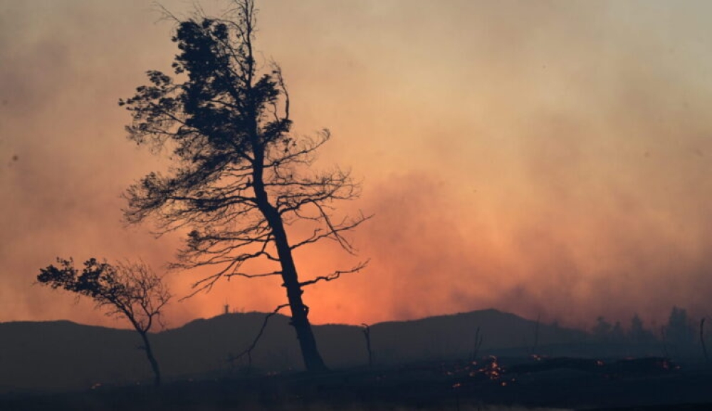 &Sigma;&epsilon; &sigma;&upsilon;&nu;&alpha;&gamma;&epsilon;&rho;&mu;ό &eta; &Lambda;&alpha;&kappa;&omega;&nu;ί&alpha;: &Pi;&omicron;&lambda;ύ &upsilon;&psi;&eta;&lambda;ό&sigmaf; &kappa;ί&nu;&delta;&upsilon;&nu;&omicron;&sigmaf; &pi;&upsilon;&rho;&kappa;&alpha;&gamma;&iota;ά&sigmaf; &kappa;&alpha;&iota; &tau;&eta;&nu; &Tau;&rho;ί&tau;&eta;