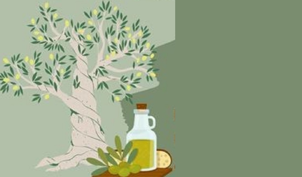 &Beta;&iota;&omega;&mu;&alpha;&tau;&iota;&kappa;ό &epsilon;&rho;&gamma;&alpha;&sigma;&tau;ή&rho;&iota; &mu;&omicron;&nu;&tau;&epsilon;&sigma;&sigma;&omicron;&rho;&iota;&alpha;&nu;ή&sigmaf; &alpha;&gamma;&omega;&gamma;ή&sigmaf; &gamma;&iota;&alpha; &mu;&iota;&kappa;&rho;&omicron;ύ&sigmaf; &gamma;&epsilon;&omega;&rho;&gamma;&omicron;ύ&sigmaf; &sigma;&tau;&eta; &Sigma;&kappa;ά&lambda;&alpha;