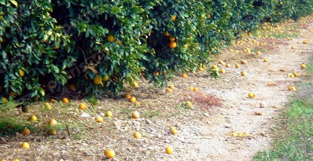 &Alpha;&nu;&alpha;&gamma;&gamma;&epsilon;&lambda;ί&alpha; &zeta;&eta;&mu;&iota;ά&sigmaf; &alpha;&pi;ό &chi;&alpha;&lambda;ά&zeta;&iota; &sigma;&tau;&eta;&nu; &Kappa;&omicron;&iota;&nu;ό&tau;&eta;&tau;&alpha; &Alpha;&sigma;&tau;&epsilon;&rho;ί&omicron;&upsilon;
