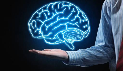 Έρευνα: Ο ανθρώπινος εγκέφαλος μεγάλωσε κατά 6,6%