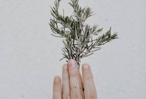 Πού να τοποθετήσεις ένα φυτό δεντρολίβανου για να ενεργοποιήσεις τον πλούτο στο σπίτι σου