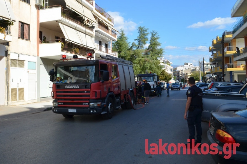 &Nu;&tau;&omicron;&upsilon;&mu;ά&nu;&iota;&alpha;&sigma;&epsilon; &kappa;&omicron;&upsilon;&zeta;ί&nu;&alpha; &sigma;&tau;&omicron; &Kappa;&epsilon;&nu;&omicron;&tau;ά&phi;&iota;&omicron; &tau;&omicron;&upsilon; &Lambda;&epsilon;&omega;&nu;ί&delta;&alpha; &sigma;&tau;&eta; &Sigma;&pi;ά&rho;&tau;&eta; (&Phi;&Omega;&Tau;&Omicron;)